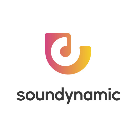 How soundynamic was born